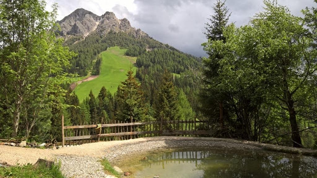 سان فيجيليو دي ماريبْ Alpine Hotel Gran Foda' المظهر الخارجي الصورة